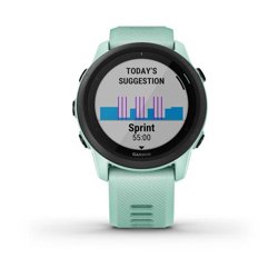 Picture of Garmin Forerunner 745  neo tropic